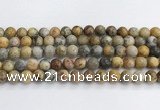 CAA2351 15.5 inches 10mm round crazy lace agate beads wholesale