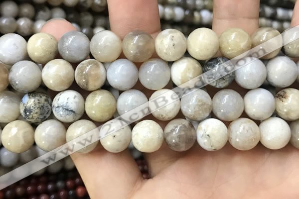 CAA3585 15.5 inches 12mm round ocean fossil agate beads wholesale