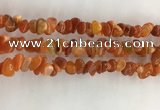 CAA3806 15.5 inches 4*6mm - 8*10mm chips red agate beads wholesale