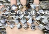 CAA4380 15.5 inches 12*12mm diamond Montana agate beads