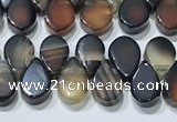 CAA5321 Top drilled 6*8mm flat teardrop line agate beads