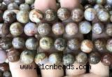 CAA6268 15 inches 10mm round fire agate gemstone beads