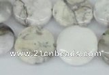 CAB102 15.5 inches 20mm flat round natural brazil agate beads