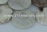 CAB103 15.5 inches 30mm flat round natural brazil agate beads