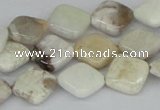 CAB121 15.5 inches 12*12mm diamond natural brazil agate beads