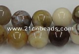 CAB592 15.5 inches 14mm round mexican agate gemstone beads wholesale