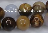 CAB593 15.5 inches 16mm round mexican agate gemstone beads wholesale