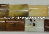 CAB603 15.5 inches 16*22mm rectangle mexican agate gemstone beads wholesale