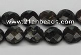 CAE115 15.5 inches 12mm faceted coin astrophyllite beads wholesale