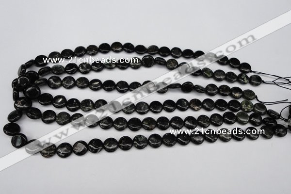 CAE44 15.5 inches 10mm flat round astrophyllite beads wholesale