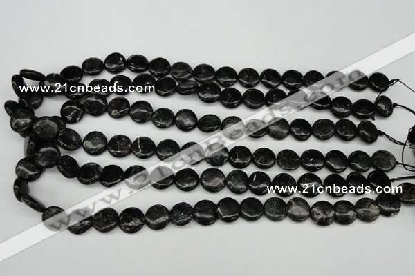 CAE45 15.5 inches 12mm flat round astrophyllite beads wholesale
