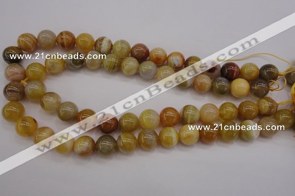 CAG4325 15.5 inches 14mm round botswana agate gemstone beads