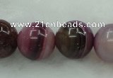 CAG434 15.5 inches 16mm round agate gemstone beads wholesale