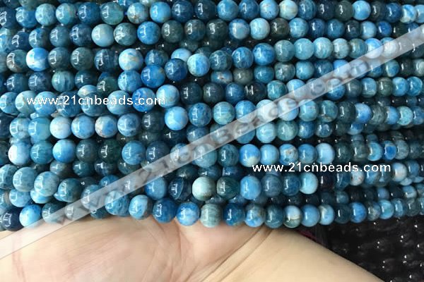 CAP577 15.5 inches 6mm round apatite beads wholesale