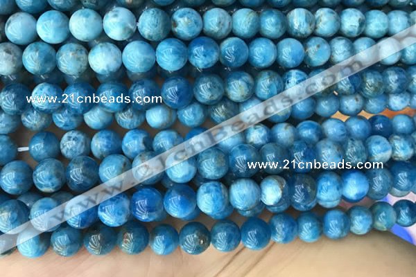 CAP590 15.5 inches 10mm round apatite beads wholesale