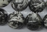 CBW05 15.5 inches 20mm round black & white jasper gemstone beads