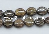 CBZ01 15.5 inches 12mm flat round bronzite gemstone beads wholesale
