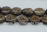CBZ02 15.5 inches 14mm flat round bronzite gemstone beads wholesale