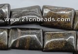 CBZ316 15.5 inches 18*25mm rectangle bronzite gemstone beads wholesale