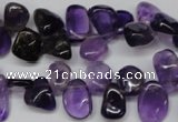 CCH315 15.5 inches 10*15mm amethyst chips gemstone beads wholesale
