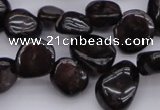 CCH617 15.5 inches 6*8mm - 10*14mm garnet chips gemstone beads