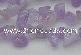 CCH641 15.5 inches 6*8mm - 10*14mm lavender amethyst chips beads