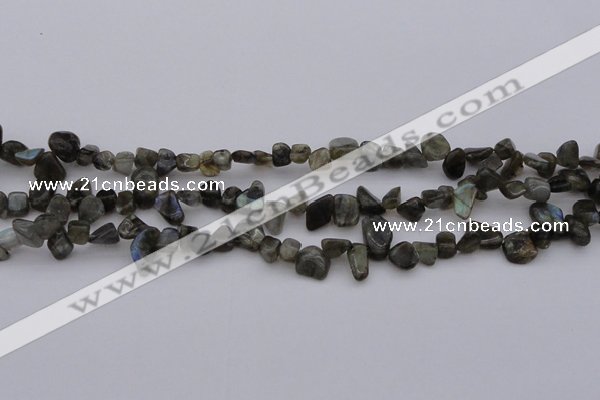 CCH642 15.5 inches 6*8mm - 10*14mm labradorite chips beads