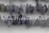 CCH658 15.5 inches 4*6mm - 5*8mm iolite gemstone chips beads