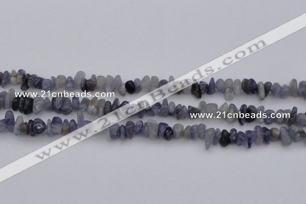 CCH659 15.5 inches 5*8mm - 6*10mm iolite gemstone chips beads