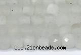 CCU830 15 inches 4mm faceted cube white moonstone beads