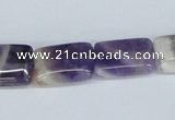 CDA80 15.5 inches 13*18mm rectangle dogtooth amethyst beads wholesale