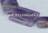 CDA82 15.5 inches 20*30mm rectangle dogtooth amethyst beads wholesale