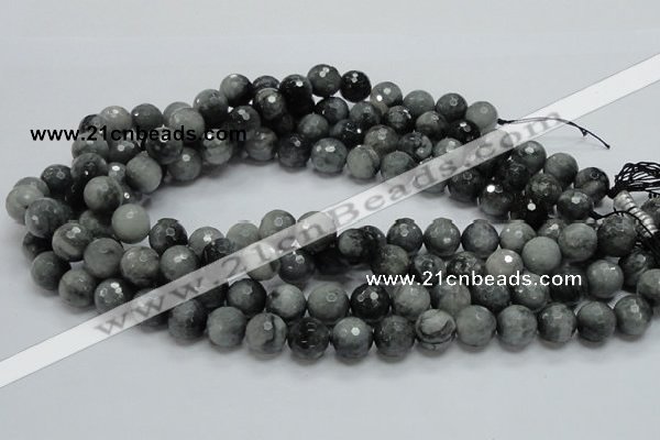CEE22 15.5 inches 12mm faceted round eagle eye jasper beads wholesale