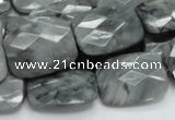 CEE34 15.5 inches 15*20mm faceted rectangle eagle eye jasper beads