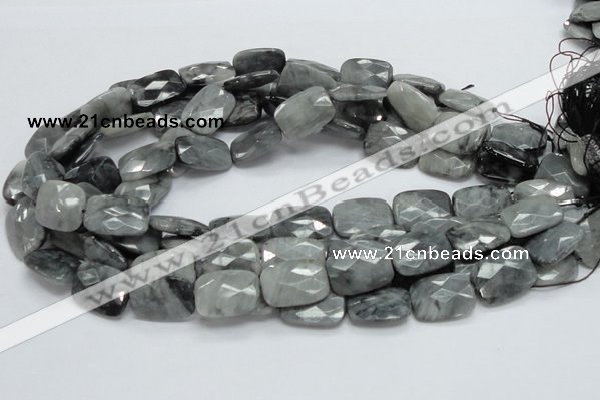 CEE34 15.5 inches 15*20mm faceted rectangle eagle eye jasper beads