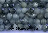 CEE561 15 inches 3mm faceted round eagle eye jasper beads