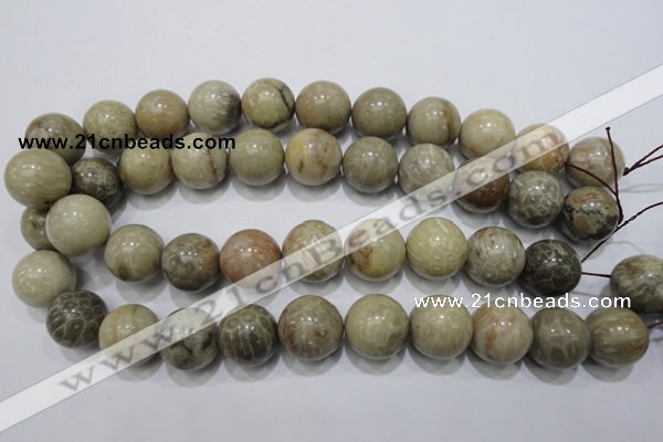 CFA27 15.5 inches 18mm round chrysanthemum agate gemstone beads
