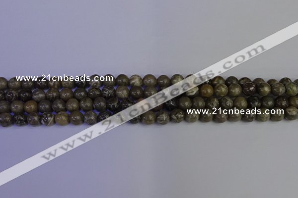 CFC211 15.5 inches 6mm round grey fossil coral beads wholesale