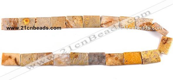 CFC27 15*20mm rectangle 15.5 inch fossil coral  beads Wholesale