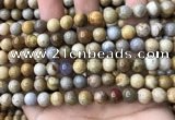 CFC322 15.5 inches 8mm round fossil coral beads wholesale