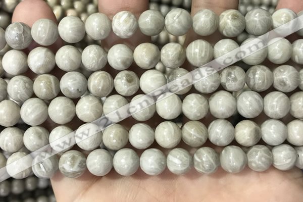CFC331 15.5 inches 8mm round fossil coral beads wholesale