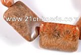 CFC40 15 inches 18*25mm rectangle fossil coral beads Wholesale