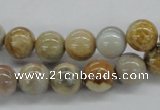 CFC62 15.5 inches 10mm round fossil coral beads wholesale