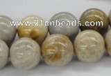 CFC65 15.5 inches 16mm round fossil coral beads wholesale