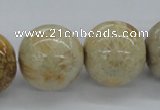 CFC66 15.5 inches 20mm round fossil coral beads wholesale