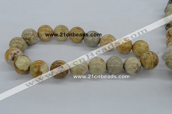 CFC66 15.5 inches 20mm round fossil coral beads wholesale
