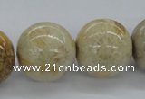 CFC67 15.5 inches 22mm round fossil coral beads wholesale