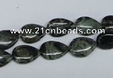 CKJ16 15.5 inches 8*12mm flat teardrop kambaba jasper beads wholesale