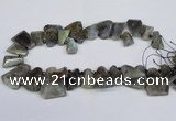 CLB222 Top drilled 15*25mm - 25*30mm freeform labradorite beads