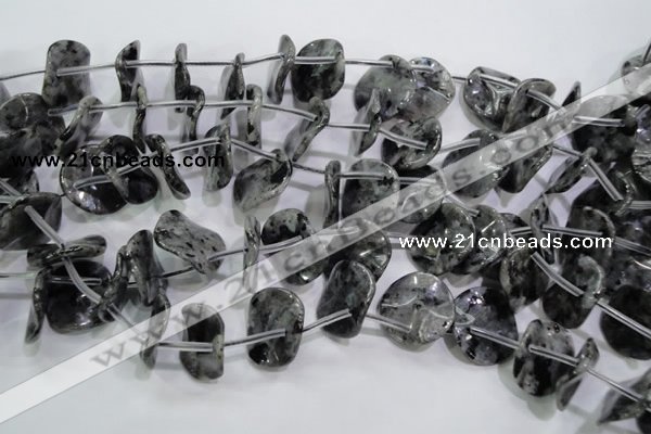 CLB326 Top-drilled 20mm wavy coin black labradorite beads